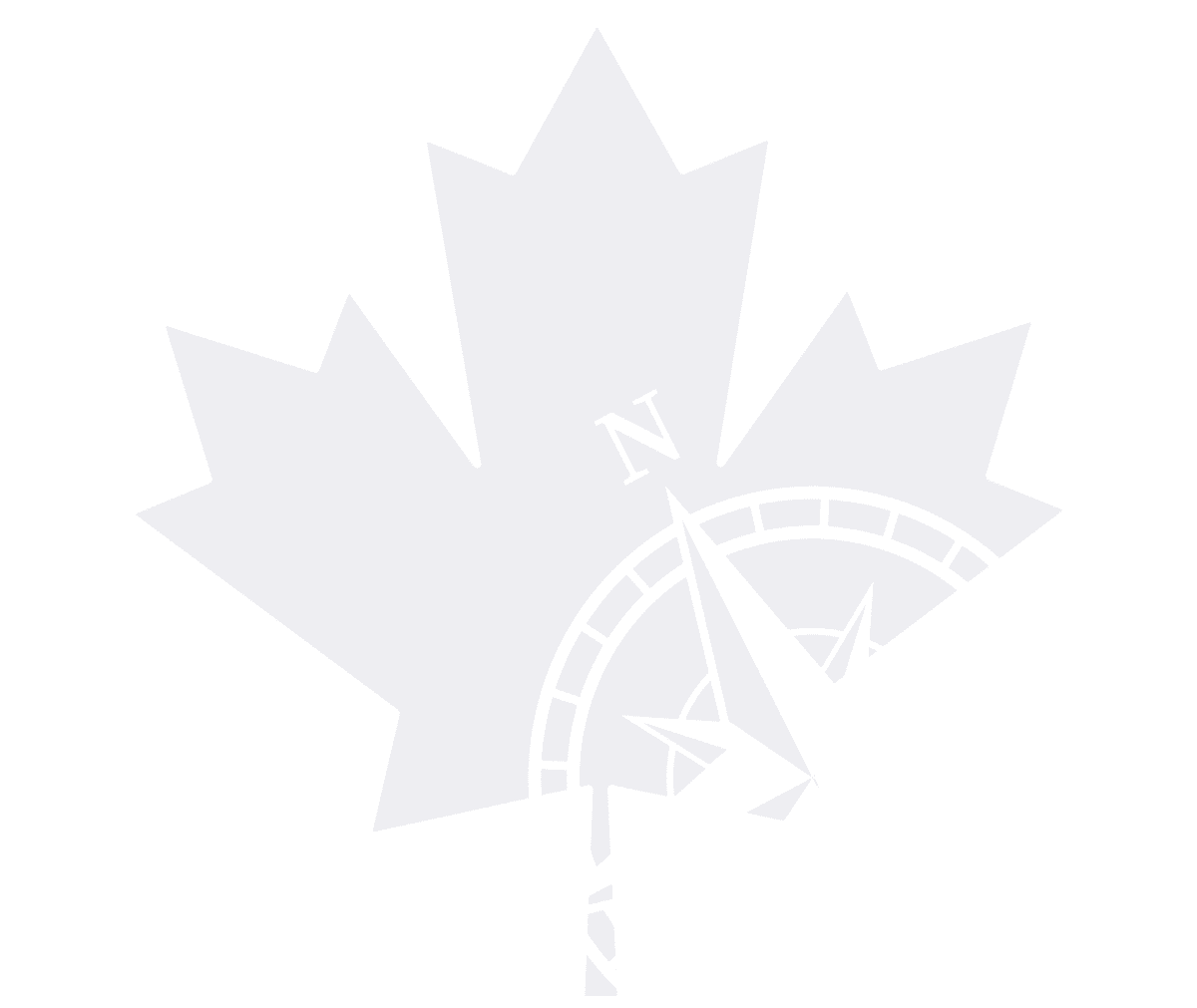True North Logo Background